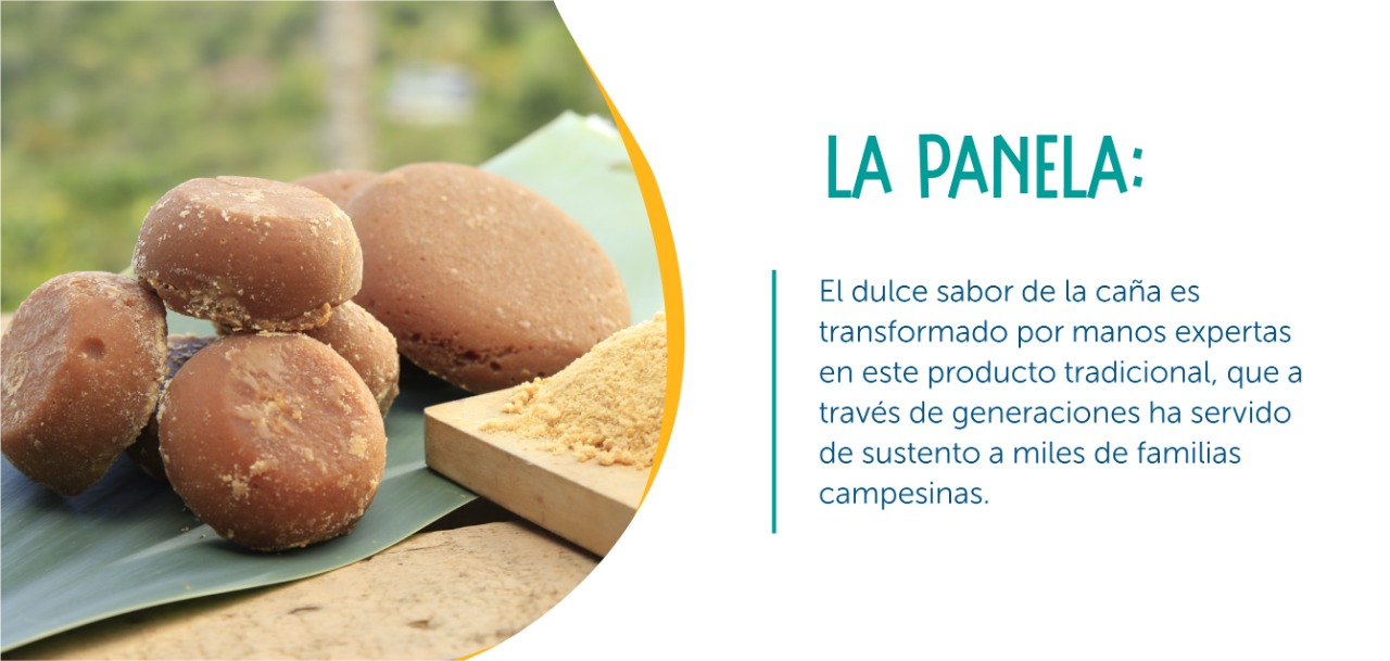 Beneficios Panela