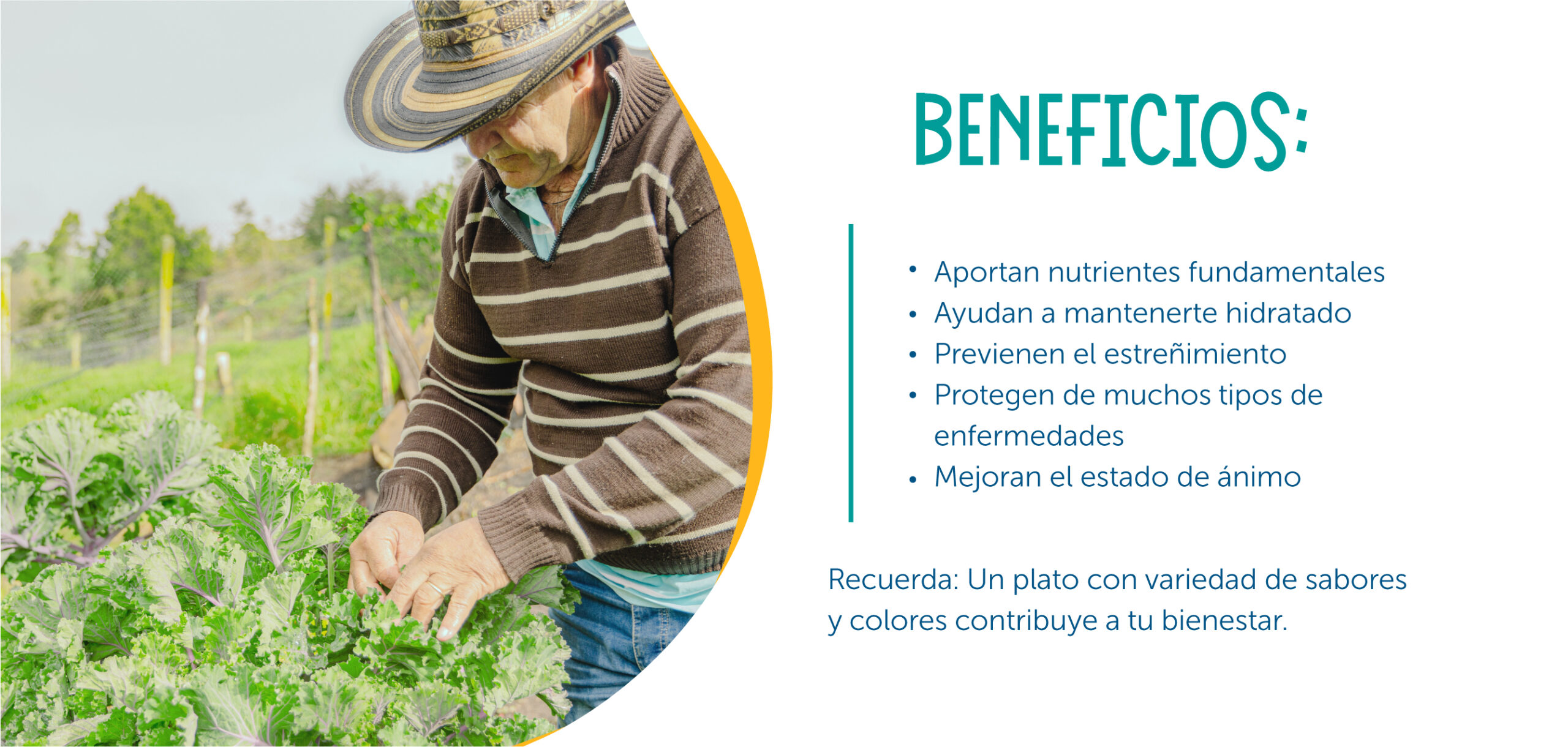 beneficios verduras Apoyamos