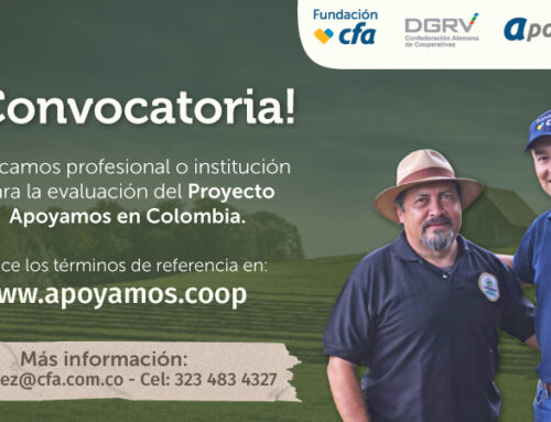 Contratación de profesional o institución para la evaluación del Proyecto Apoyamos en Colombia