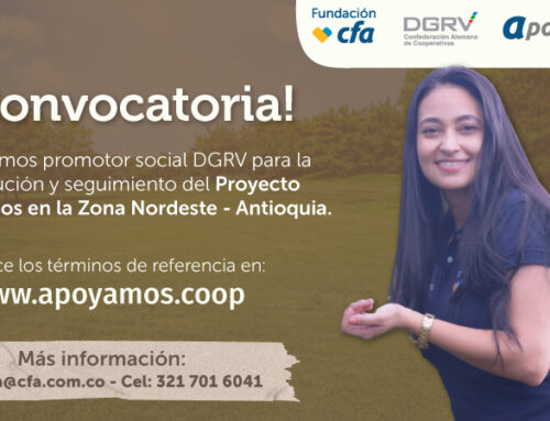Contratación de Promotor Social DGRV para ejecución y seguimiento del proyecto apoyamos – Zona Nordeste