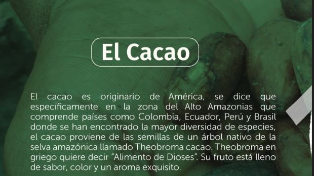 breve historia del cacao